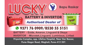 Lucky Battery & Invertor